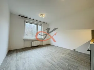 Pronájem bytu 1+kk, Rožnov pod Radhoštěm, Lesní, 21 m2