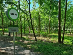 Pronájem kanceláře, Praha - Chodov, Tomíčkova, 5000 m2