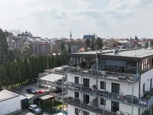 Pronájem bytu 1+kk, Olomouc, Kubíčkova, 97 m2