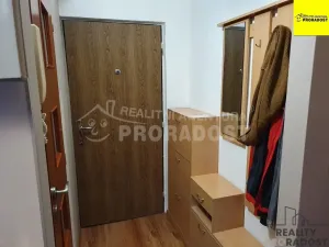 Pronájem bytu 1+1, Ústí nad Labem, Švestková, 38 m2