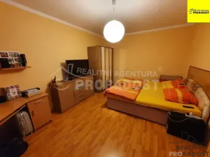 Pronájem bytu 1+1, Ústí nad Labem, Švestková, 38 m2