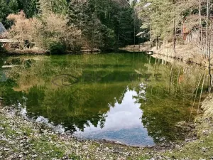 Prodej chaty, Vrábče, 48 m2