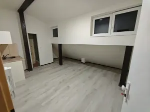 Pronájem bytu 1+kk, Praha - Hlubočepy, Na Zlíchově, 20 m2