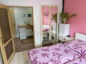 Prodej rodinného domu, Děčín, Liliová, 290 m2