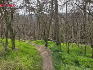 Prodej bytu 3+kk, Praha - Modřany, Levského, 62 m2