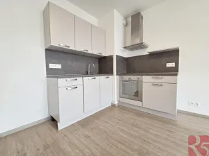 Pronájem bytu 2+kk, Praha - Žižkov, V zahrádkách, 55 m2