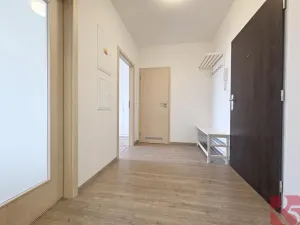 Pronájem bytu 2+kk, Praha - Žižkov, V zahrádkách, 55 m2