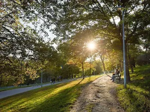 Prodej bytu 2+kk, Praha - Nusle, Bělehradská, 43 m2