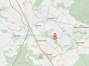 Prodej podílu lesa, Boskovštejn, 1959 m2