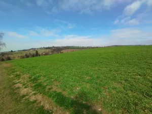 Pronájem bytu 3+1, Ledeč nad Sázavou, Stínadla, 57 m2