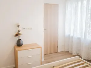 Pronájem bytu 2+kk, Praha - Žižkov, Pod lipami, 54 m2