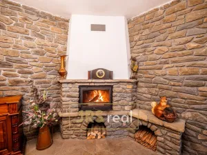 Prodej rodinného domu, Čejkovice, 468 m2