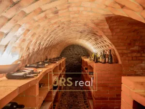 Prodej rodinného domu, Čejkovice, 468 m2