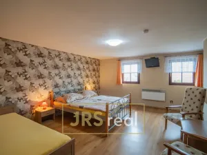 Prodej rodinného domu, Čejkovice, 468 m2