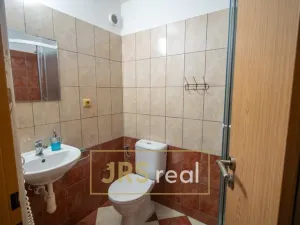 Prodej rodinného domu, Čejkovice, 468 m2