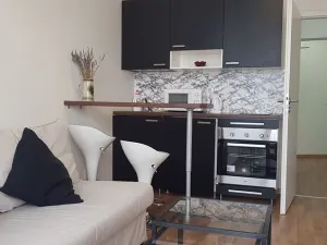 Pronájem bytu 1+kk, Praha, Hornoměcholupská, 22 m2