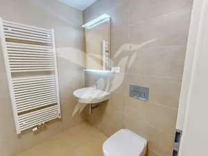 Pronájem bytu 1+kk, Plzeň, Zahradní, 35 m2