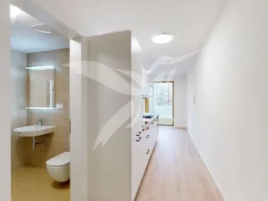 Pronájem bytu 1+kk, Plzeň, Zahradní, 35 m2