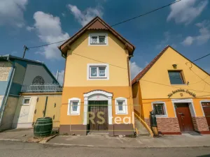 Prodej - jiné, Bořetice, 90 m2