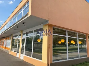 Prodej obchodního prostoru, Karlovy Vary, Truhlářská, 2475 m2