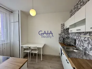 Pronájem bytu 1+1, Hodonín, Vřesová, 30 m2