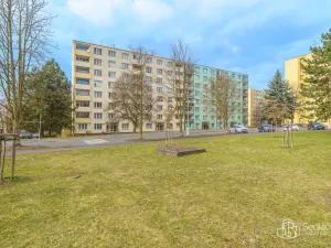 Prodej bytu 4+1, Sokolov, Alšova, 82 m2