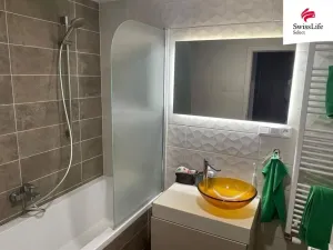 Pronájem bytu 2+kk, Plzeň, Papírnická, 55 m2