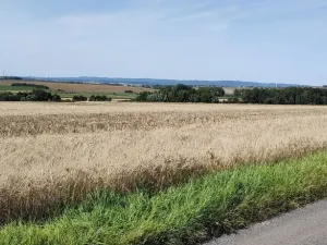 Prodej pozemku pro bydlení, Beňov, 5182 m2