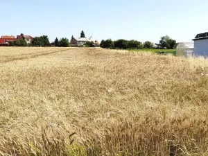 Prodej pozemku pro bydlení, Beňov, 5182 m2