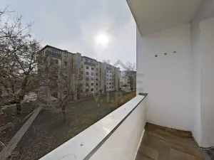 Prodej bytu 2+1, Praha - Žižkov, K lučinám, 50 m2