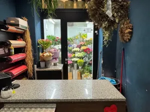 Pronájem obchodního prostoru, Brno - Brno-město, 26 m2