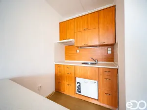 Prodej bytu 1+kk, Pardubice - Ohrazenice, Trnovská, 34 m2