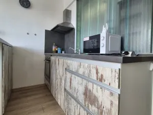 Pronájem bytu 1+kk, České Budějovice, Puklicova, 21 m2