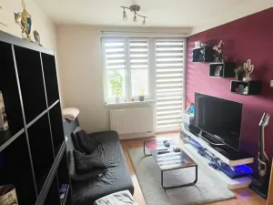 Prodej bytu 2+kk, Klecany, V Honech, 41 m2