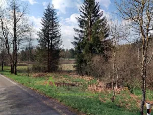 Prodej louky, Přední Výtoň, 13899 m2