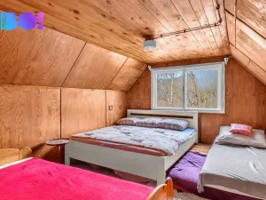 Prodej chaty, Krásné - Chlum, 70 m2