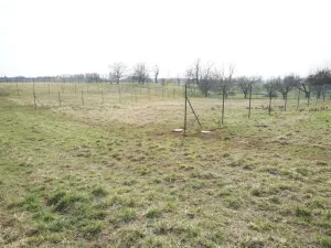 Pronájem zahrady, Jaroměř, Slovenská, 384 m2