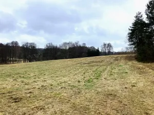 Prodej zemědělského objektu, Dolní Město, 124655 m2