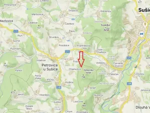 Prodej lesa, Petrovice u Sušice - Trsice, 18883 m2