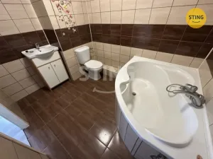 Pronájem bytu 1+1, Ostrava, Arbesova, 42 m2