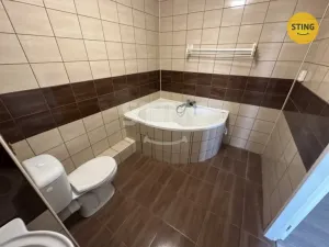 Pronájem bytu 1+1, Ostrava, Arbesova, 42 m2