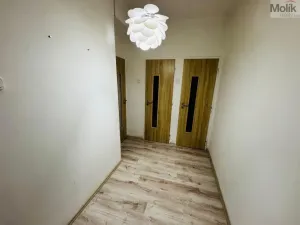 Prodej bytu 1+1, Most, Josefa Skupy, 37 m2