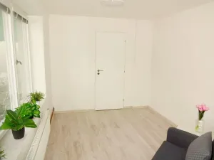 Pronájem rodinného domu, Brno, Obřanská, 90 m2