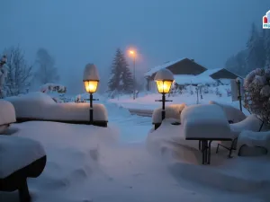 Prodej ubytování, Železná Ruda - Alžbětín, 2455 m2