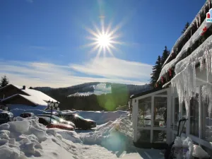 Prodej ubytování, Železná Ruda - Alžbětín, 2455 m2