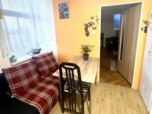 Prodej bytu 1+1, Svitávka, Tovární, 53 m2