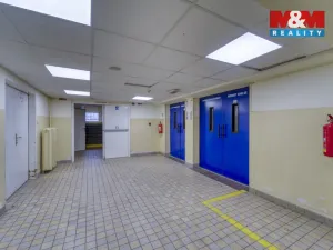 Pronájem obchodního prostoru, Plzeň - Východní Předměstí, Americká, 1603 m2