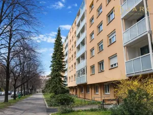 Prodej bytu 2+1, Kolín - Kolín II, Družstevní, 55 m2