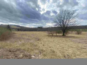 Prodej pole, Javorník, 664 m2