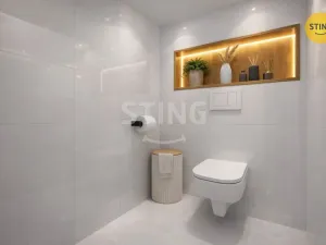 Pronájem bytu 3+kk, Bílov, 74 m2